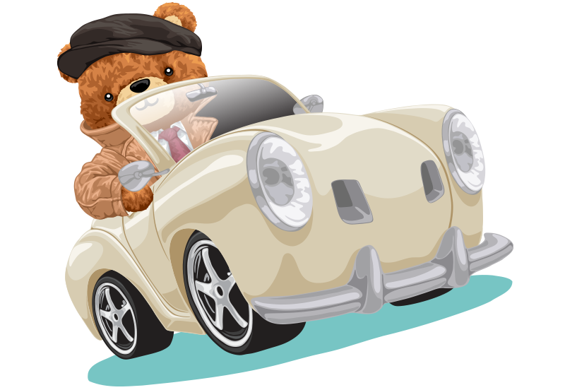 Handsome Teddy on the way